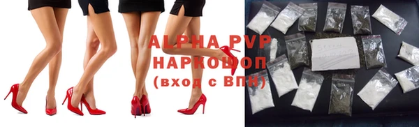 spice Алзамай